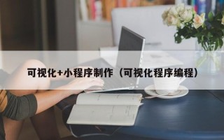 咸阳可视化+小程序制作（可视化程序编程）